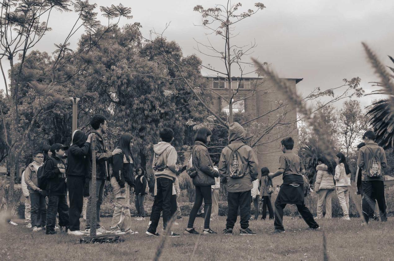 Día 6